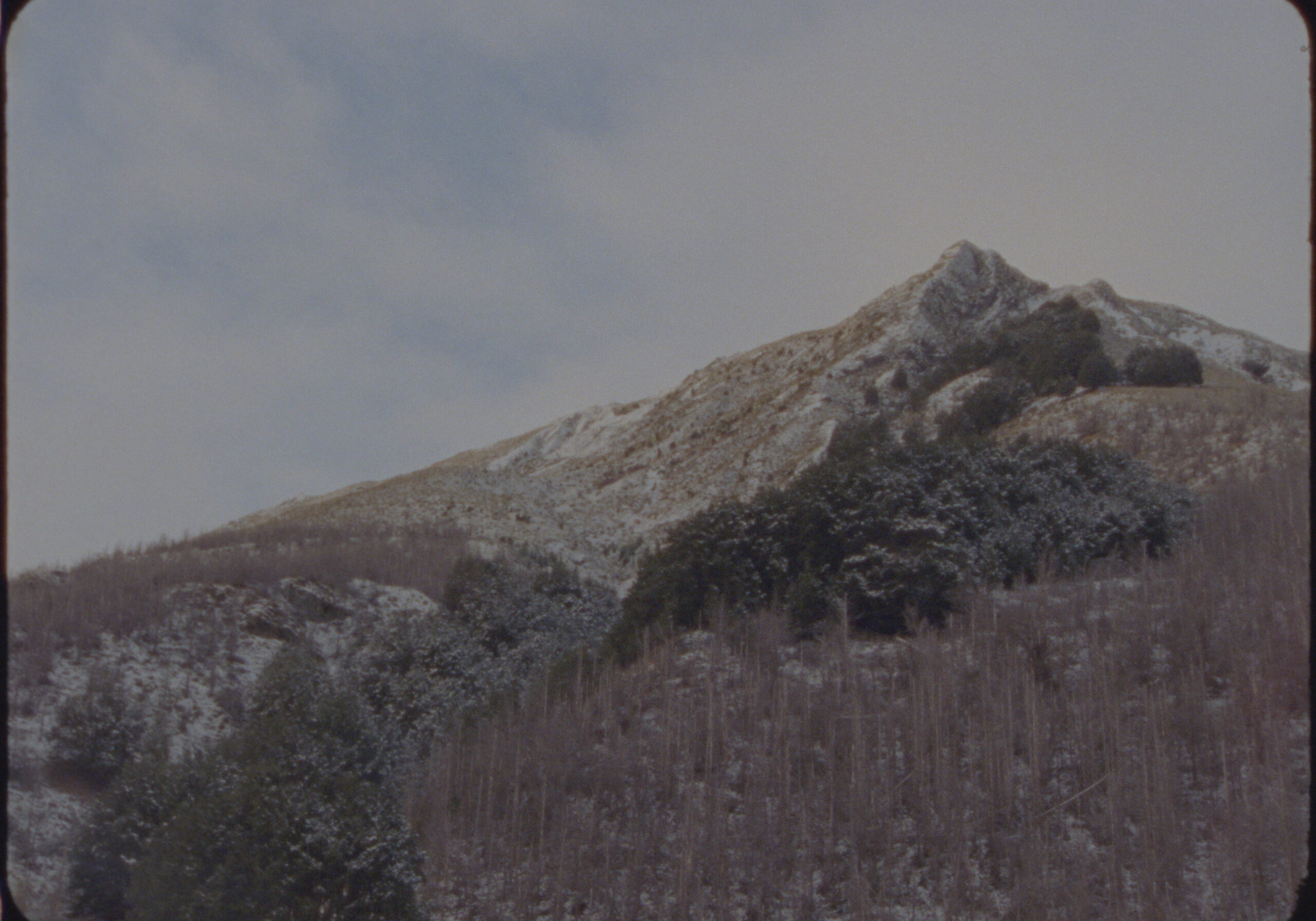16MM FILM LUTS before