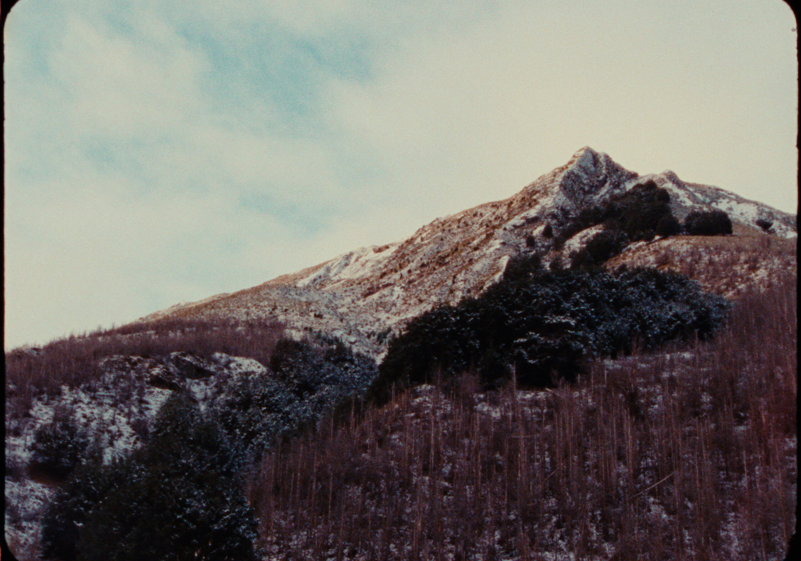 16MM FILM LUTS after
