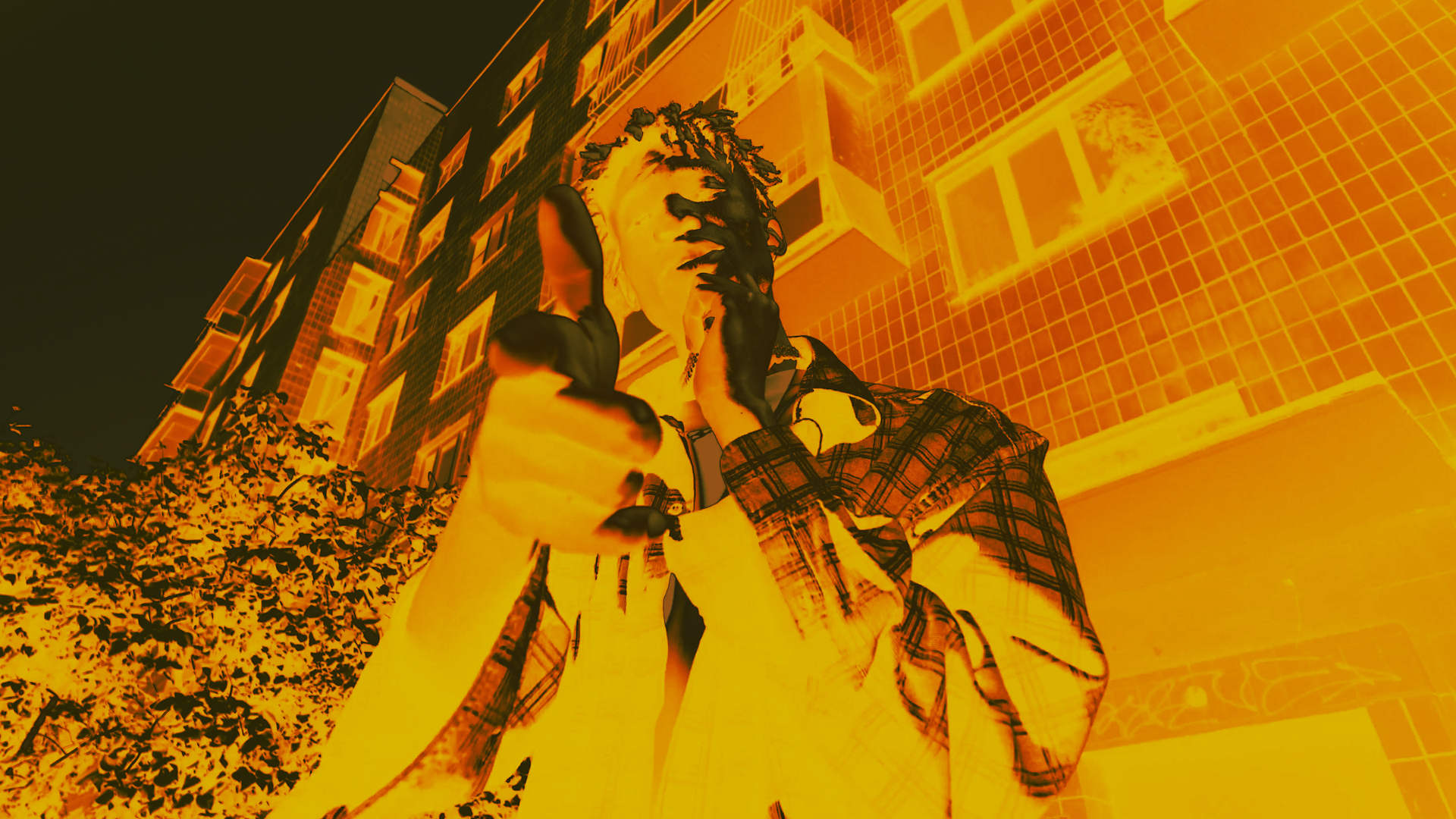 12 Thermographic LUTs after