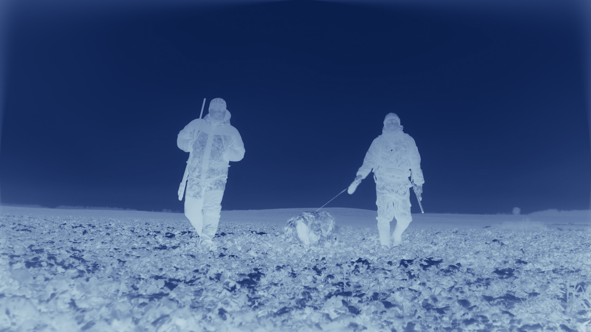 12 Thermographic LUTs after