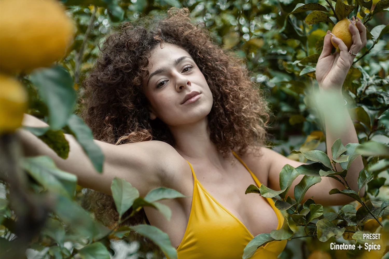 Mediterranea Creative LUTs pack after
