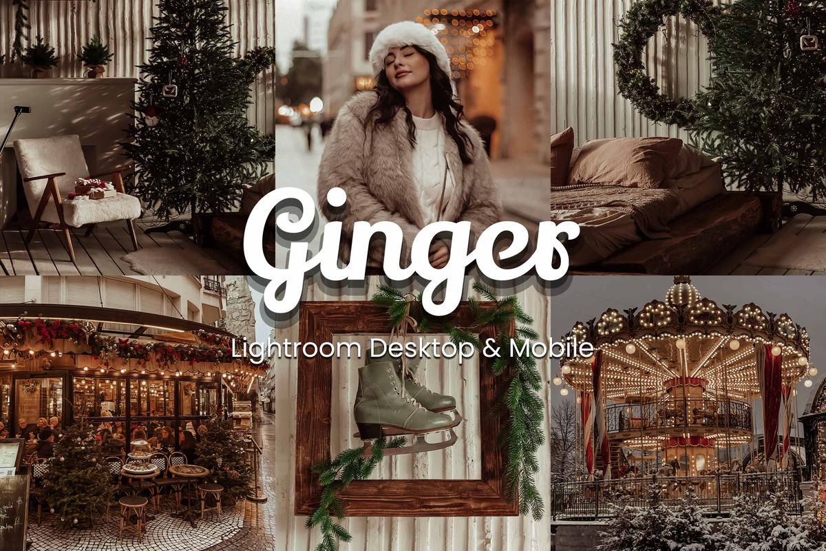 30 Ginger Lightroom Bundle