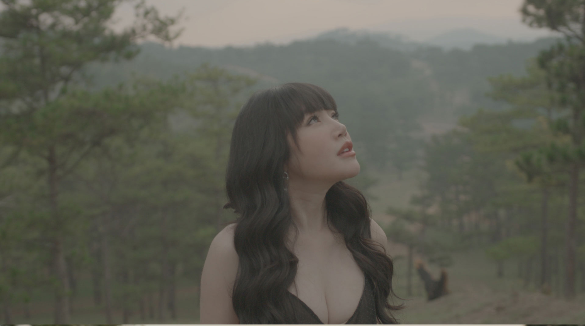 Combo LUTs Collection Pack before