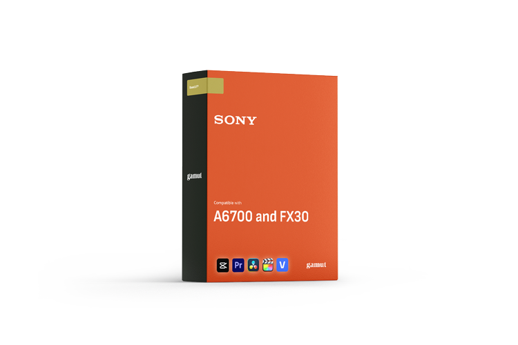 BaseLUTs for Sony FX30, A6700 and A7RV