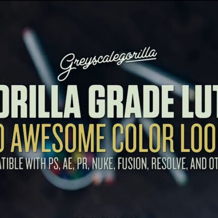 Gorilla Grade LUTs